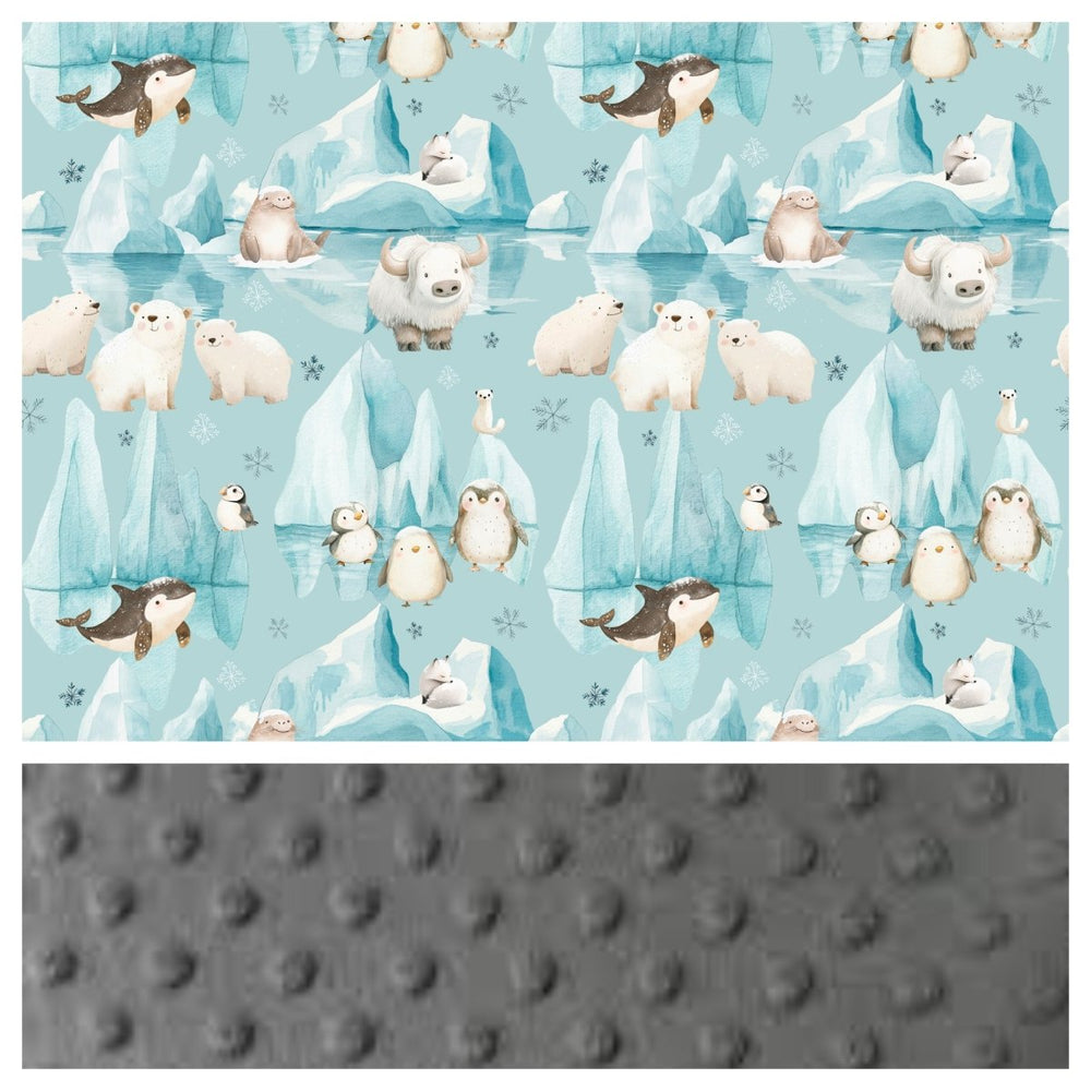 Arctic - Blanket baby
