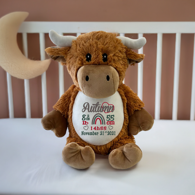 Casselman the Highland cow