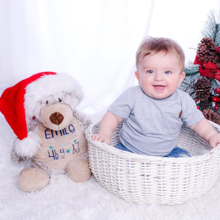 Christmas teddy bear canada