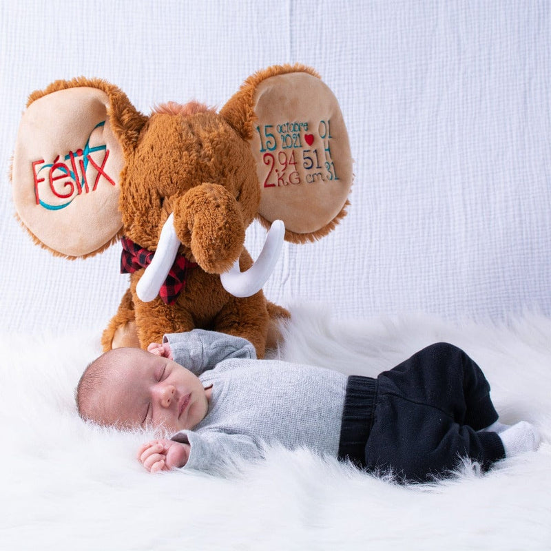 Mammoth stuffie with name
